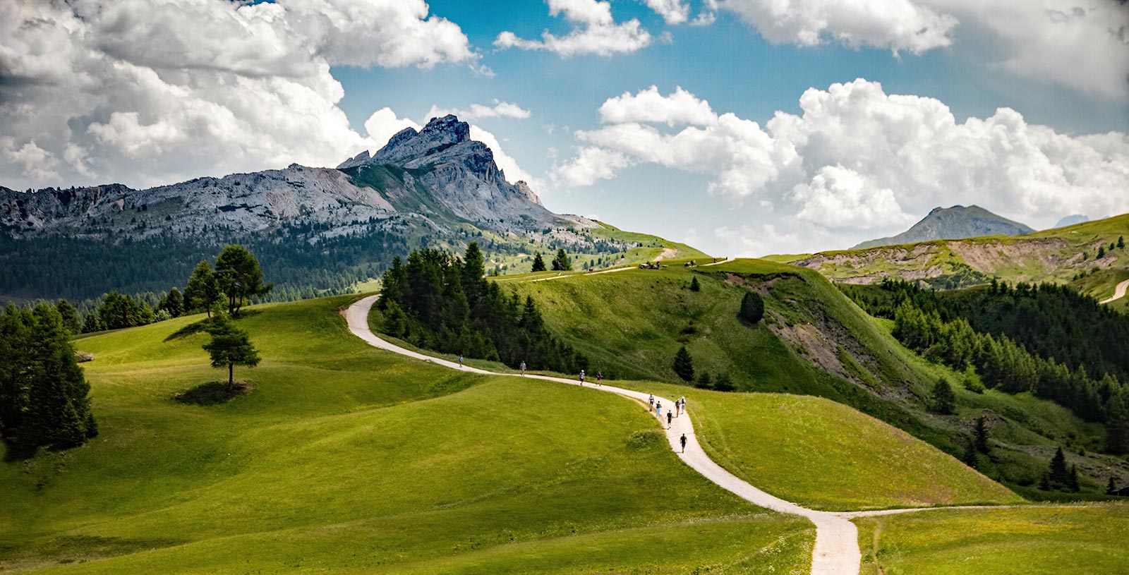 The mountains of the Alta Badia in different shades of green