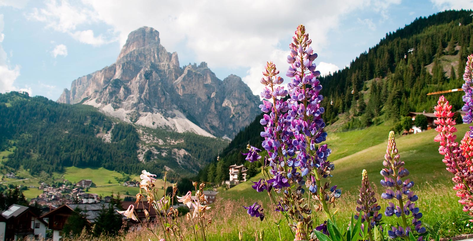 die Alpen der Alta Badia, im Vordergrund Blumen auf einer Wiese